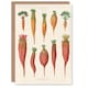 image 1 of Ernst Benary Art Card Mangold Wurzels Field Beet Varieties