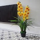 image 3 of 90cm Yellow Flower Orchid Plant