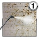image 3 of Dryzone Mould Remover (5L) Scrub-Free Formula - Eliminates Mould & Mildew Immediately