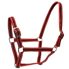 Roma Horse Headcollar And Leadrope - Red/Navy - Full