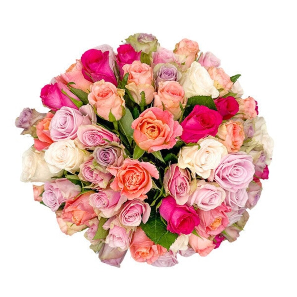 image 1 of Treasured Rose Mix