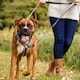 image 5 of HALTI Double-Ended Lead For Dogs - Size Large - Red 2m