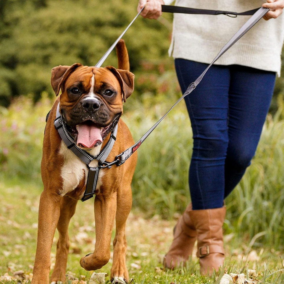 image 1 of HALTI Double-Ended Lead For Dogs - Size Large - Red 2m