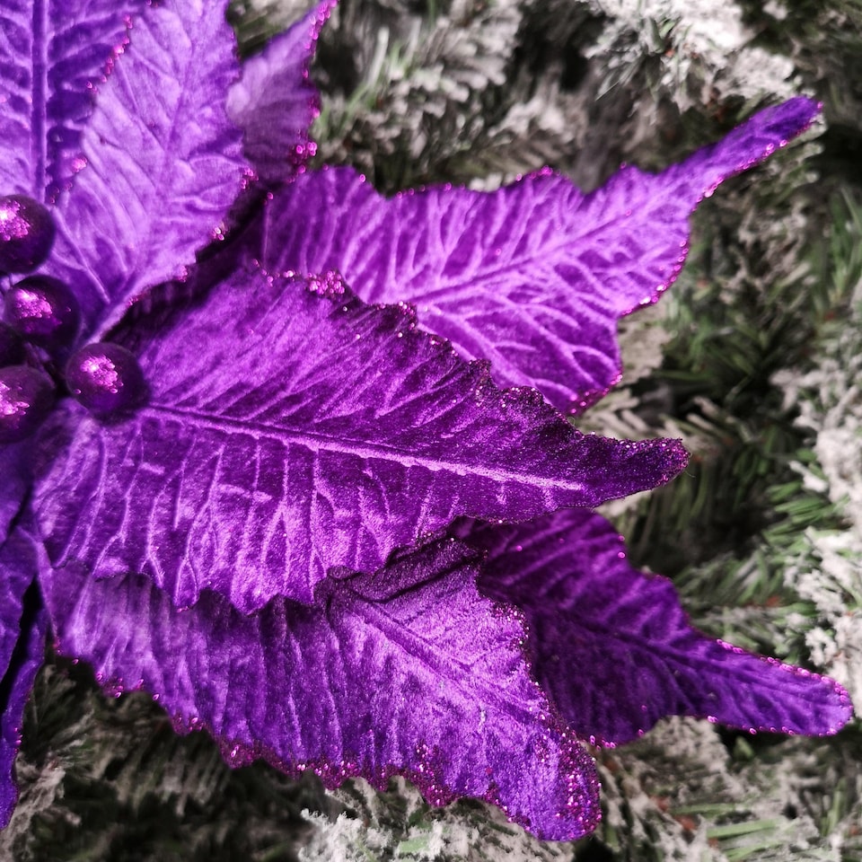 image 1 of 76cm Purple Velvet Poinsettia Stem with Glitter Christmas Decoration