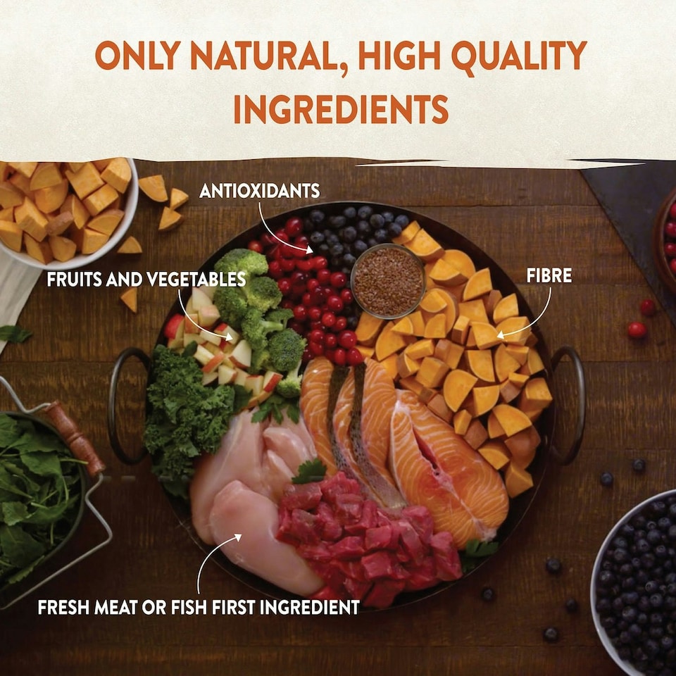image 1 of Wellness CORE Dog Wet Small Breed Adult Savoury Medleys Butcher Multipack 6 x 85g