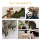 image 5 of PawHut Cat Tree for Indoor Cats with Scratching Post, Hanging Ball, Grey