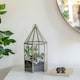 image 10 of Glasshouse Terrarium Gold