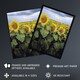 image 2 of A Kansas sunflower field up close Highsmith Huge Wall Art Print 18X24 In