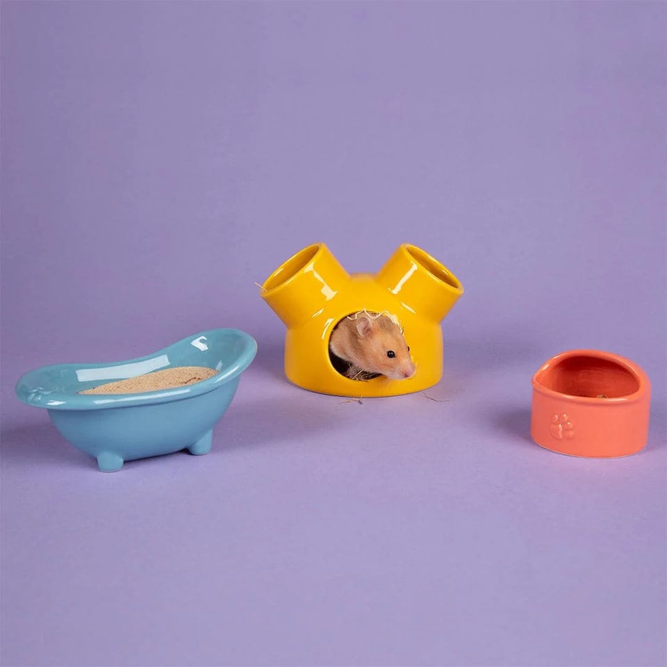 image 1 of Scruffs Small Pet Colours Ceramic Set - House, Sand Bath & Food Bowl
