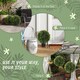 image 7 of HOMCOM Set of 2 Artificial Plant Topiary Balls, UV-protected Fake Decorative Plants, FauPlants for Home Indoor Outdoor Decor, 45cm, Green