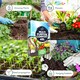 image 3 of Pelle & Sol 40L Multi Purpose Compost Peat Free Potting Soil