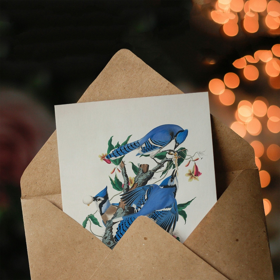 image 1 of John James Audubon Art Card Blue Jay and Trumpet Flowers