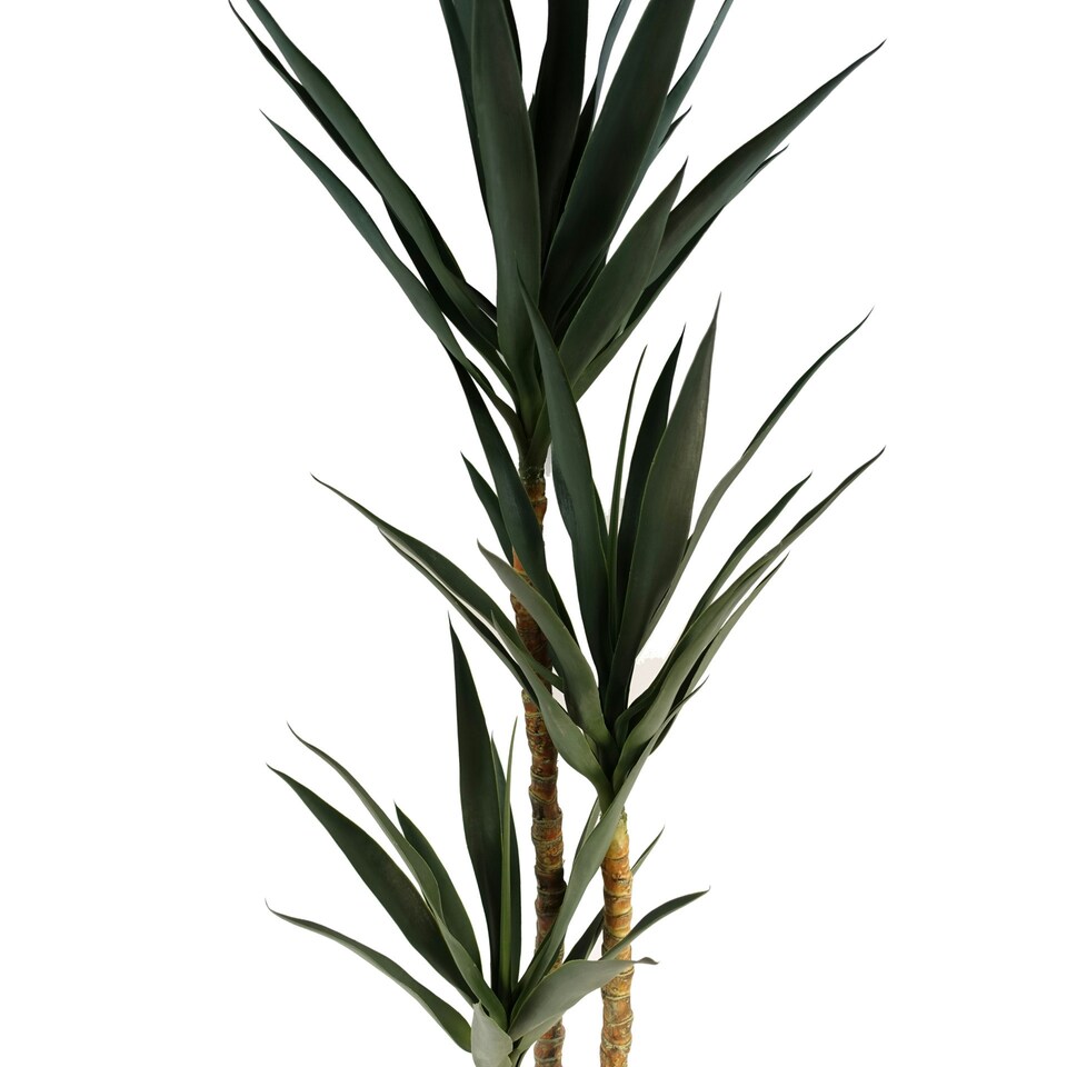image 1 of 170cm Artificial XL Triple Yukka Tree Tropical Plant Green | One Size