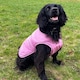 image 9 of HugglePets Arctic Armour Dog Coat Red | M