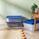 image 2 of Crystal 32L Box & Stronger Lid PK5 Clear/Blue