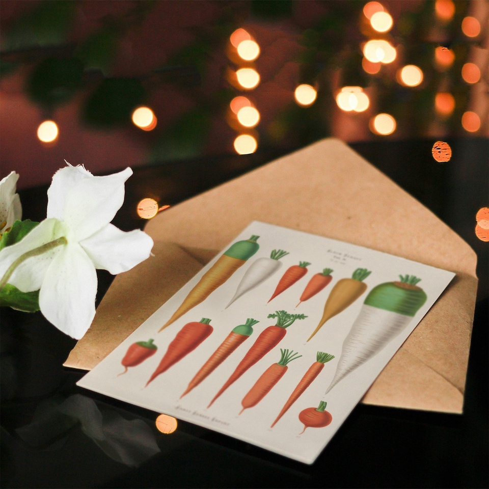 image 1 of Ernst Benary Art Card Carrot Varieties Vintage Illustration