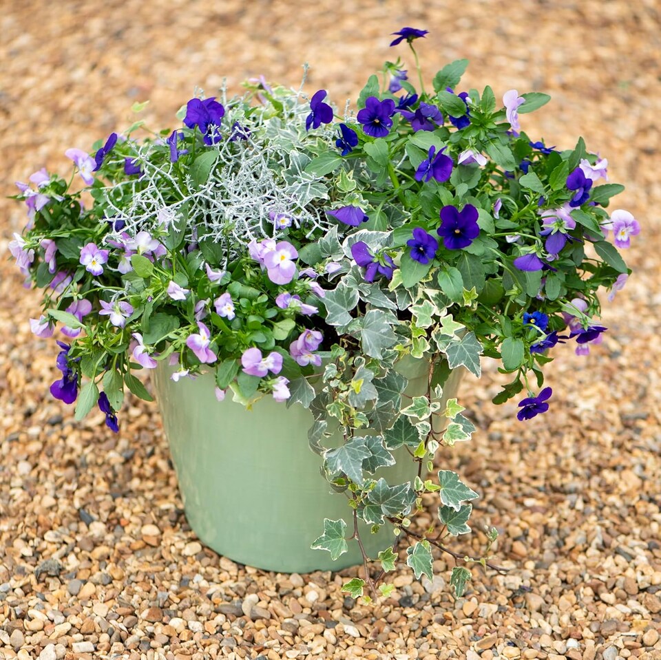 image 1 of Lindos Glazed Effect Planter Sage Green (D33 x H25.5cm) | Green | 1