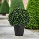 image 2 of True Products Premium Artificial Boxwood Potted Topiary Ball 30cm Dia.