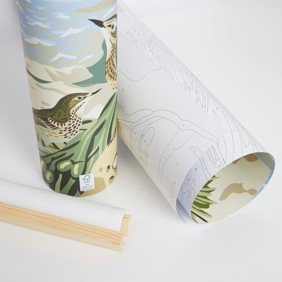 image 1 of Natural History Museum Paint By Numbers Rock Pipits Hanging Kit
