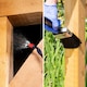 image 5 of Soluguard Woodworm and Rot Treatment (2x5L Clear & Sprayer) Ready for Use Woodworm Killer