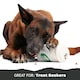 image 8 of BARK Pupkin Spice Yappucino Dog Toy