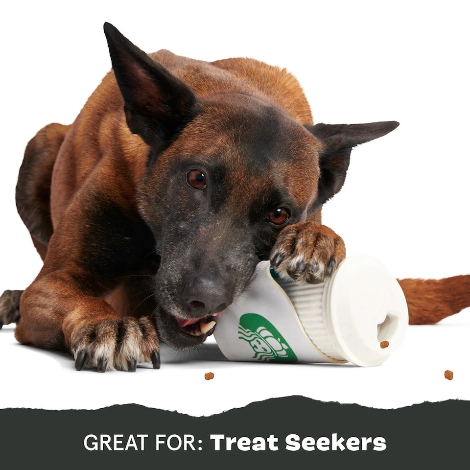 image 1 of BARK Pupkin Spice Yappucino Dog Toy