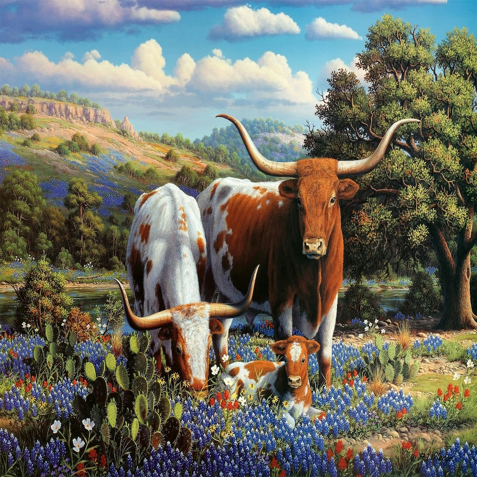 Longhorns 500pc - Ravensburger