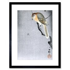 Buffalo Shrike Spider Ohara Koson 9x7" Black Framed Wall Art Print