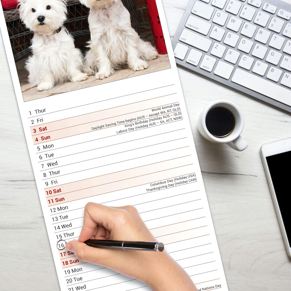image 1 of West Highland Terrier Slim 2026 Calendar | Slimline Wall Calendar | Dog Breed Gift | Plastic Free Packaging | Avonside Publishing Ltd
