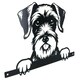 image 1 of Black Metal Peeking Schnauzer Silhouette with Fixing Plate Garden Ornament Gift