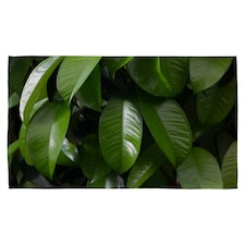 Closeup of beautiful glossy green leaves (Kitchen Towel)