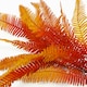 image 6 of 6 x 55cm Artificial Autumn Fern Bush Plant