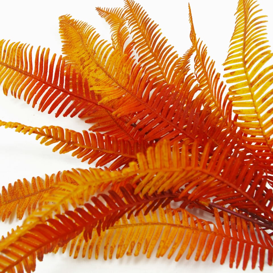 image 1 of 6 x 55cm Artificial Autumn Fern Bush Plant