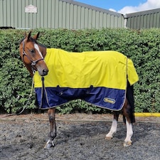 Whitaker Hornsea Turnout Rug 0 GM Yellow - 5' 9"
