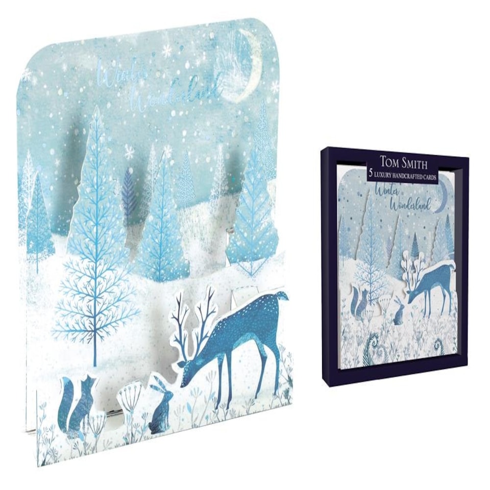 Pack of 5 Handcrafted Winter Scene Design Christmas Greeeting Cards