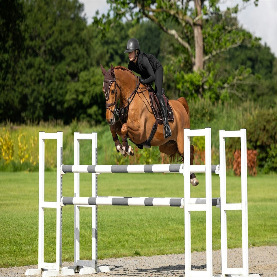 image 1 of LeMieux Puissance Suede CC Pad Black | Large