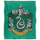 image 1 of Harry Potter Slytherin Painted Blanket - Multicoloured - One Size
