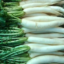 Organic Mooli Radish Minowase White Root - Fast Growing, Mild Flavour, Salad & Cooking - Thompson & Morgan 1x Seed Packet