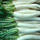 image 1 of Organic Mooli Radish Minowase White Root - Fast Growing, Mild Flavour, Salad & Cooking - Thompson & Morgan 1x Seed Packet