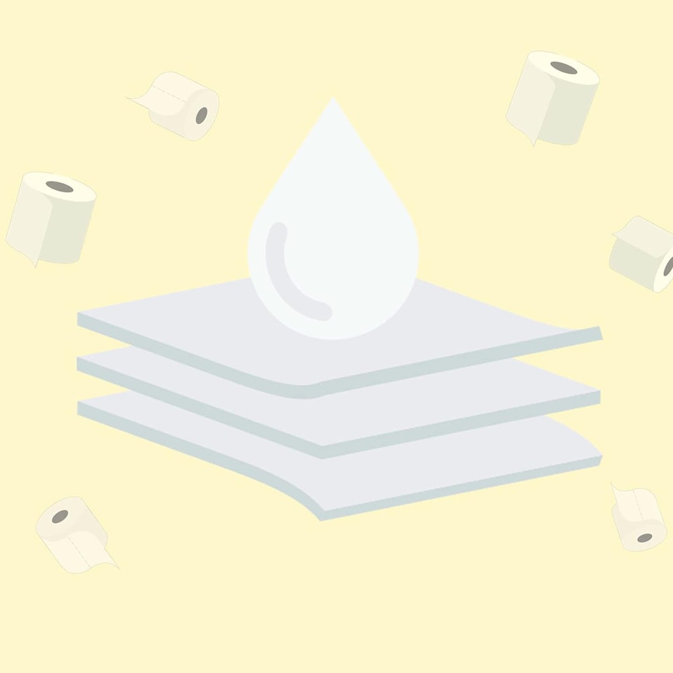 image 1 of Splesh Quilted Luxury White 3 Ply Soft Toilet Tissue Paper 48 Rolls