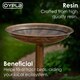 image 4 of Traditional Ornamental Pedestal Garden Water Bird Bath (Bronze)