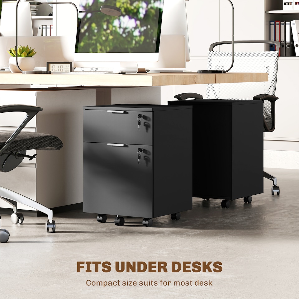 image 1 of HOMCOM 2 Drawer Filing Cabinet with Adjustable Hanging Bars for A4 and Letter