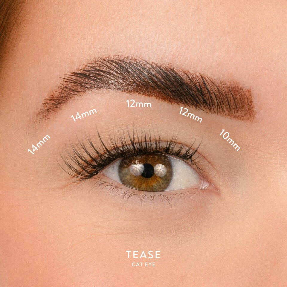 image 1 of House Of Amor - Eyelash Extensions - Tease Length - Volume D Curl - Extra Short