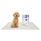 image 1 of Harbour Housewares 10x Disposable Puppy Training Pads - 60 x 89cm - Absorbent Puppy Training Pads Leak-Proof Pee Pads