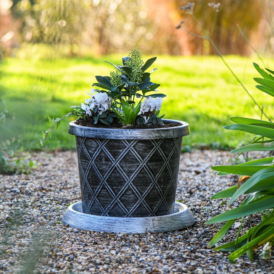 image 1 of Plastic Flowerpot with Saucer in Black & Silver x 2 | Black