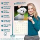 image 6 of Bichon Frise 2026 Calendar | Square Wall Calendar | Dog Breed Gift | Plastic Free Packaging | by Avonside Publishing