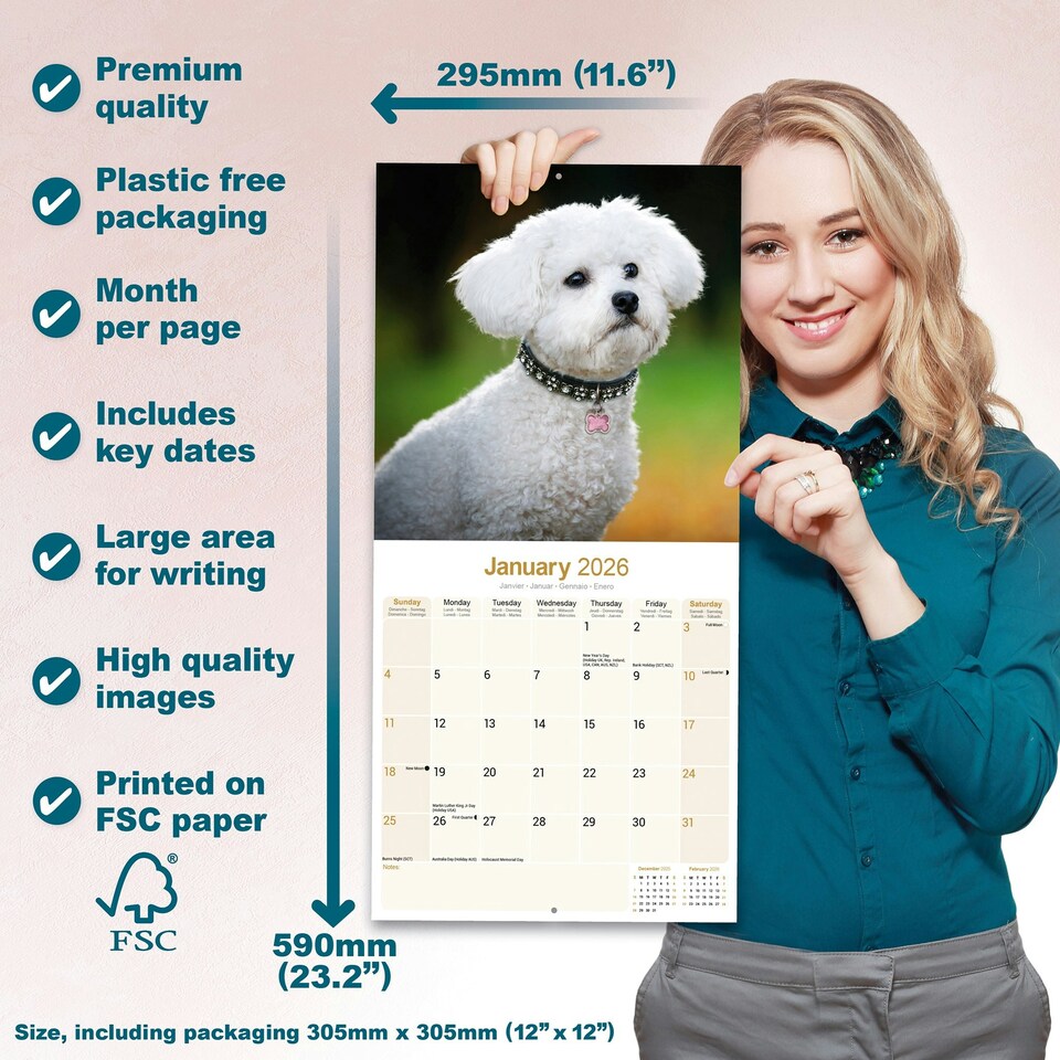 image 1 of Bichon Frise 2026 Calendar | Square Wall Calendar | Dog Breed Gift | Plastic Free Packaging | by Avonside Publishing