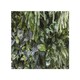 image 1 of urban jungle, modern interior decoration Designer Splash Back | White