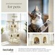 image 7 of Cat Tree Barney - 170 cm, sisal cat scratching posts - Beige