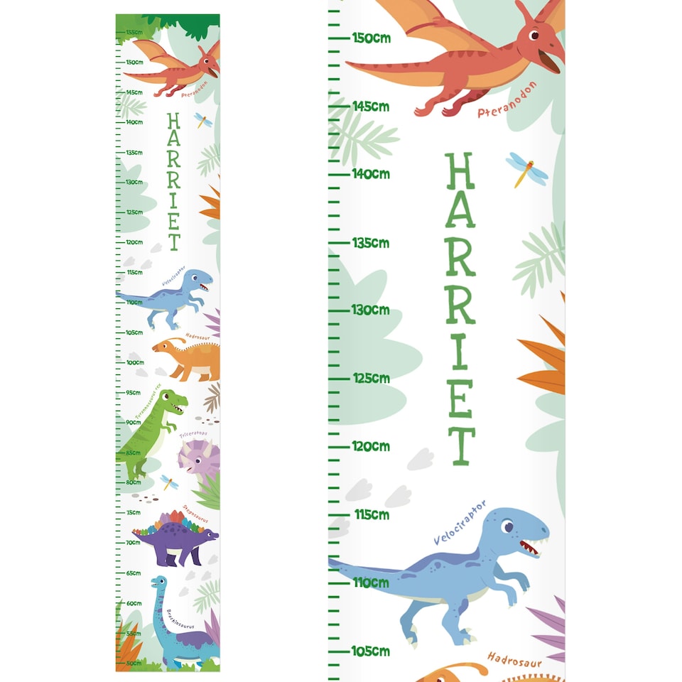 image 1 of Personalised Dinosaur Height Chart